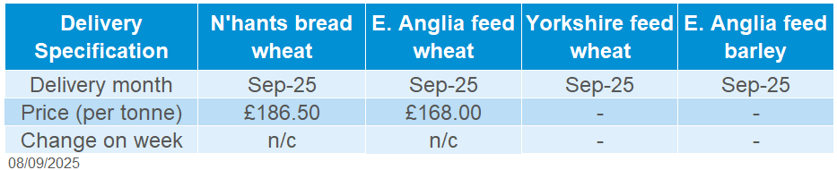 Domestic grains 08 09 2025